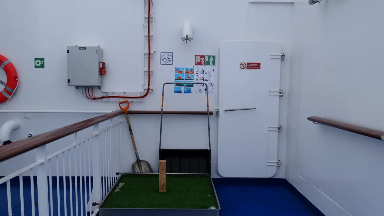 Dedicated pet area aboard Aurora Botnia