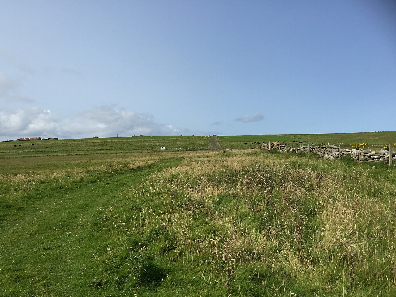 Papa Westray