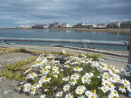 Stronsay, view across Whitehall harbour